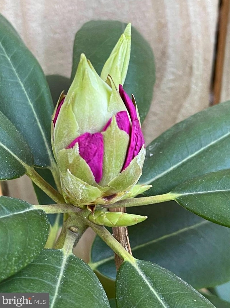 5975 Leebel Rd, East Petersburg PA  17520-1512 exterior