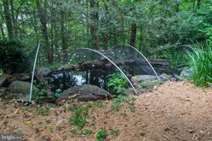 264 Mount Hope School Rd, Willow Street, PA 17584 - Photo 41