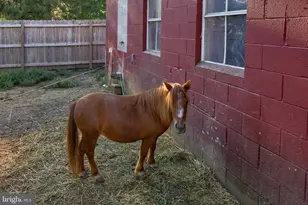 2596 Old Philadelphia, Bird in Hand, PA 17505 - Photo 27