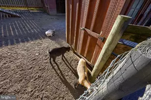 2596 Old Philadelphia, Bird in Hand, PA 17505 - Photo 29