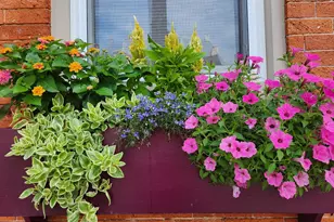 37 N Charlotte St, Lancaster, PA 17603 - Photo 61