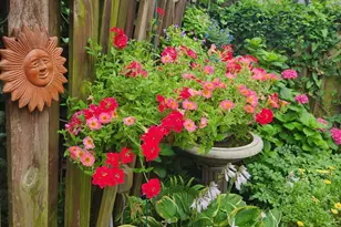 37 N Charlotte St, Lancaster, PA 17603 - Photo 55