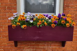 37 N Charlotte St, Lancaster, PA 17603 - Photo 41