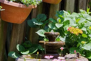 37 N Charlotte St, Lancaster, PA 17603 - Photo 43