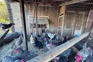 3371 Mathews Ln, Alburtis, PA 18011 - Photo 97