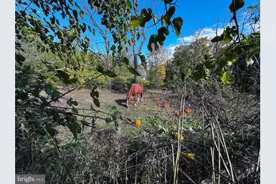 3371 Mathews Lane, Alburtis, PA 18011 - Photo 117