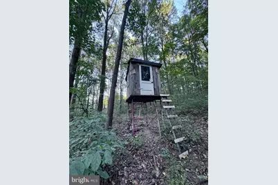 3371 Mathews Lane, Alburtis, PA 18011 - Photo 101