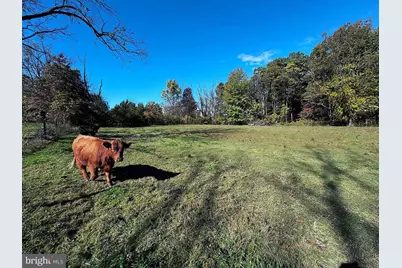 3371 Mathews Lane, Alburtis, PA 18011 - Photo 105