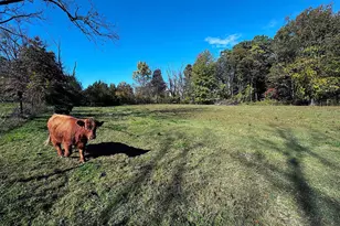 3371 Mathews Ln, Alburtis, PA 18011 - Photo 105