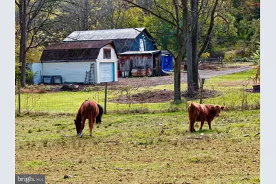 3371 Mathews Lane, Alburtis, PA 18011 - Photo 111