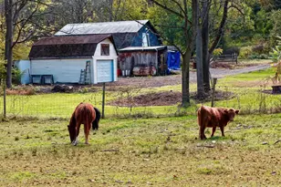 3371 Mathews Ln, Alburtis, PA 18011 - Photo 111