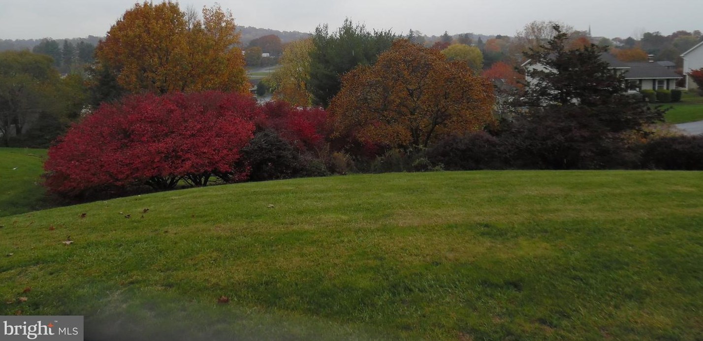 230 Swatara Cir, Bordnersville PA  17038-9729 exterior