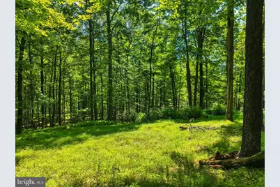 368 State Route 437, White Haven, PA 18661 - Photo 91