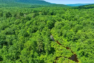 368 State Route 437, White Haven, PA 18661 - Photo 103