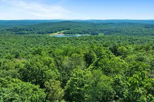 368 State Route 437, White Haven, PA 18661 - Photo 17