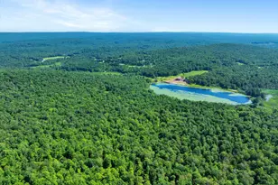 368 State Route 437, White Haven, PA 18661 - Photo 9