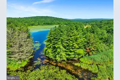 368 State Route 437, White Haven, PA 18661 - Photo 107