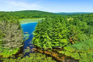 368 State Route 437, White Haven, PA 18661 - Photo 107