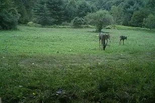 228 Huntington Creek, Sweet Valley, PA 18656 - Photo 125