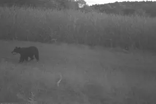 228 Huntington Creek, Sweet Valley, PA 18656 - Photo 95