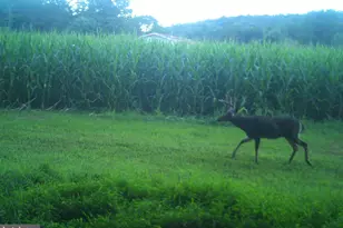 228 Huntington Creek, Sweet Valley, PA 18656 - Photo 91