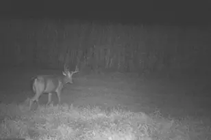 228 Huntington Creek, Sweet Valley, PA 18656 - Photo 89