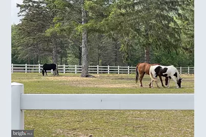 107 S Honeysuckle Drive, Hazle Township, PA 18202 - Photo 53