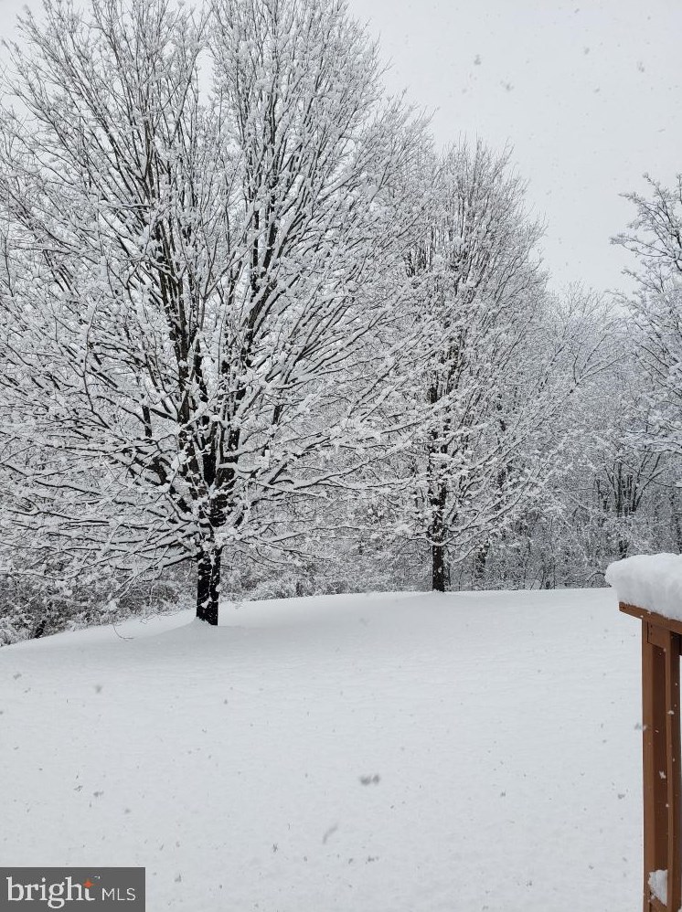 208 Filly Dr, North Wales PA  19454-4299 exterior