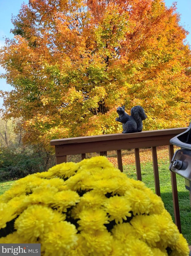 208 Filly Dr, North Wales PA  19454-4299 exterior