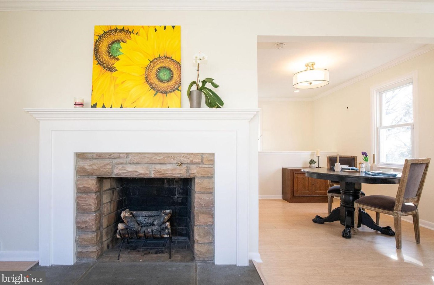 241 Limekiln Pike, Ardsley PA  19038-3319 exterior