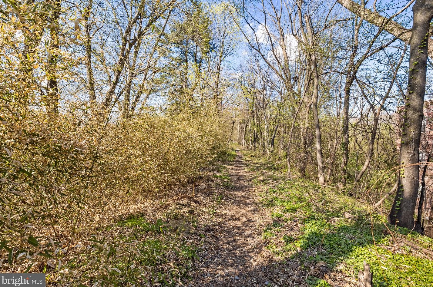 212 Blake Ave, Meadowbrook PA  19046-4211 exterior