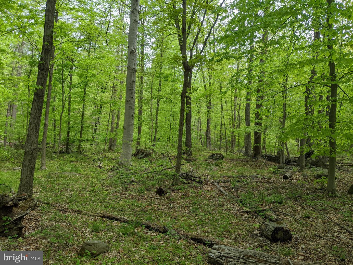 1771 Deep Creek Rd, Perkiomenville, PA 18074 MLS PAMC2070376