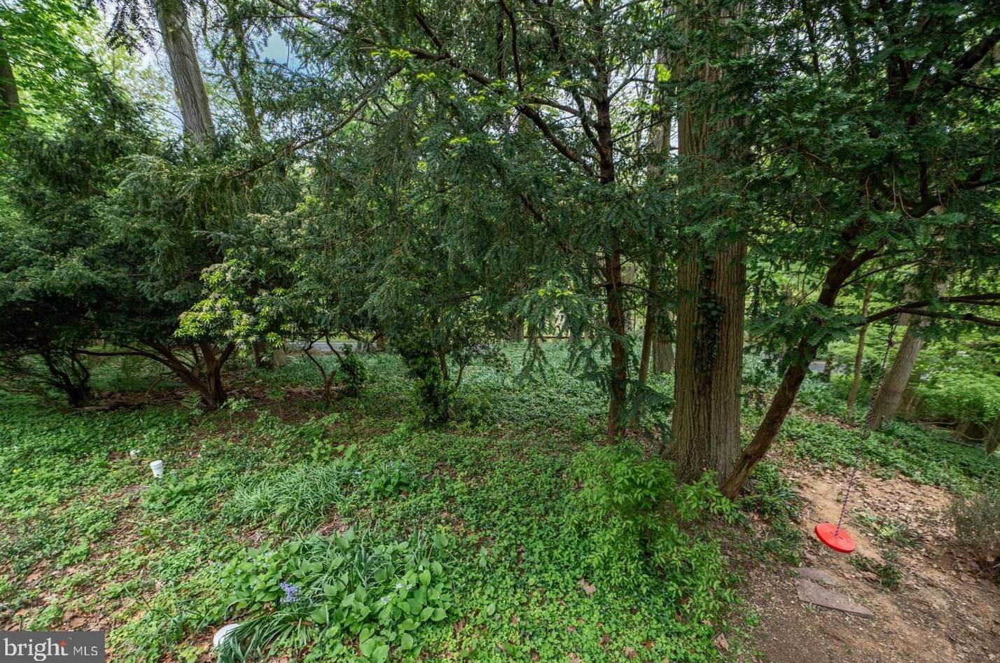 819 Pardee Ln, Wyncote PA 19095-1609 exterior