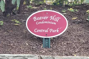 309 Florence Ave, Jenkintown, PA 19046 - Photo 27