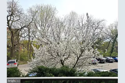 309 Florence Avenue #107N, Jenkintown, PA 19046 - Photo 19