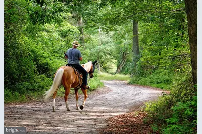 2824 Hill Road, Green Lane, PA 18054 - Photo 35