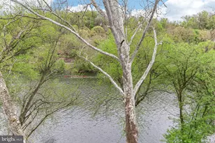 955 Riverplace Dr, Conshohocken, PA 19428 - Photo 31