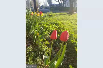 1100 Cressman Rd, Schwenksville, PA 19473 - Photo 67