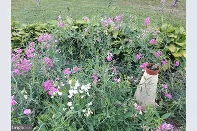 1100 Cressman Rd, Schwenksville, PA 19473 - Photo 69