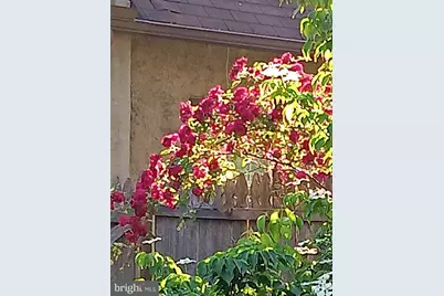 1642 Locust Street, Norristown, PA 19401 - Photo 27