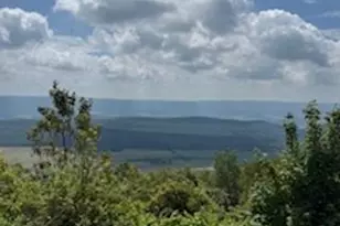 1373 Jacks Mountain Rd, Mc Veytown, PA 17051 - Photo 9