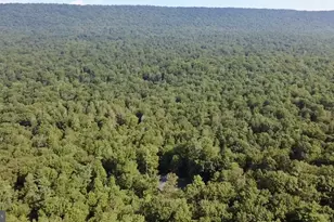 70 Kathryn, McClure, PA 17841 - Photo 25