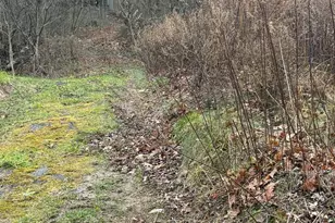 144 Hawsbrick St Lot 51, Lewistown, PA 17044 - Photo 13