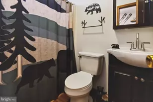 164 Fawn Rd, Pocono Lake, PA 18347 - Photo 13