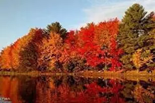 207 Pima Path, Pocono Lake, PA 18347 - Photo 55