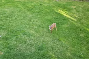 692 Watercrest Ave, Effort, PA 18330 - Photo 29