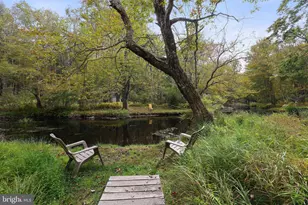 278 Trout Creek Dr, Pocono Lake, PA 18347 - Photo 35