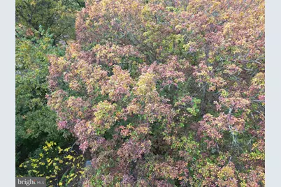 6852 Upper Road, Shamokin, PA 17872 - Photo 25