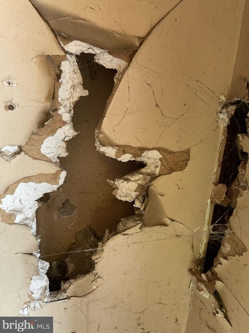 2020 Bambrey St, Philadelphia PA 19130-1808 exterior