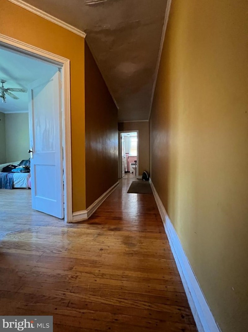 2415 Golf Rd, Philadelphia PA 19131-1416 exterior